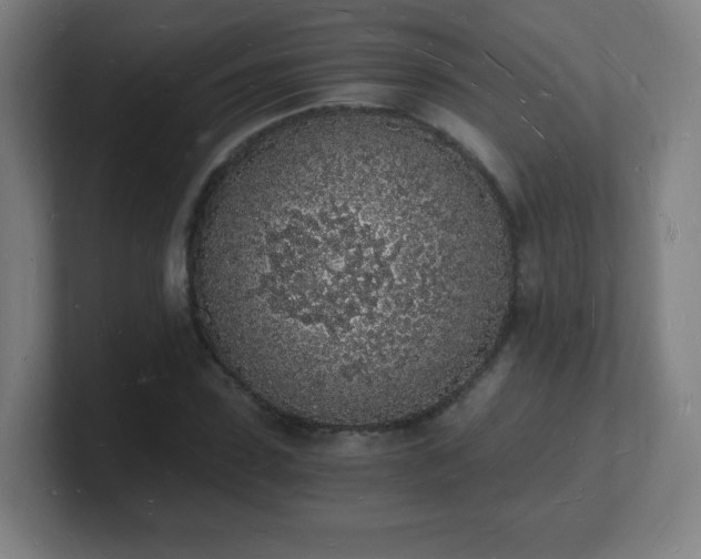 X0000101670923200807171333