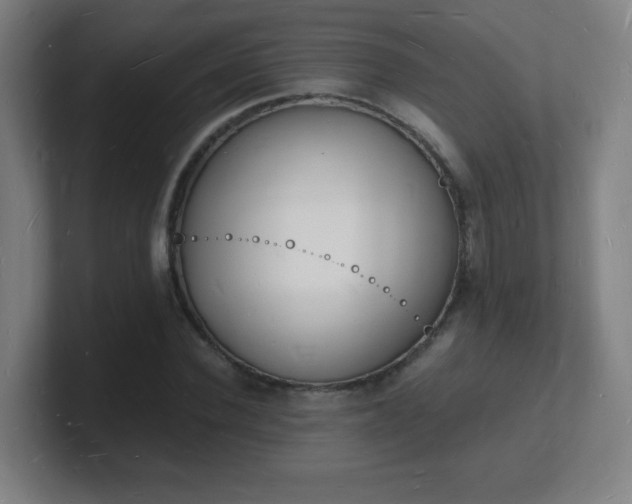 X0000101670924200807171333