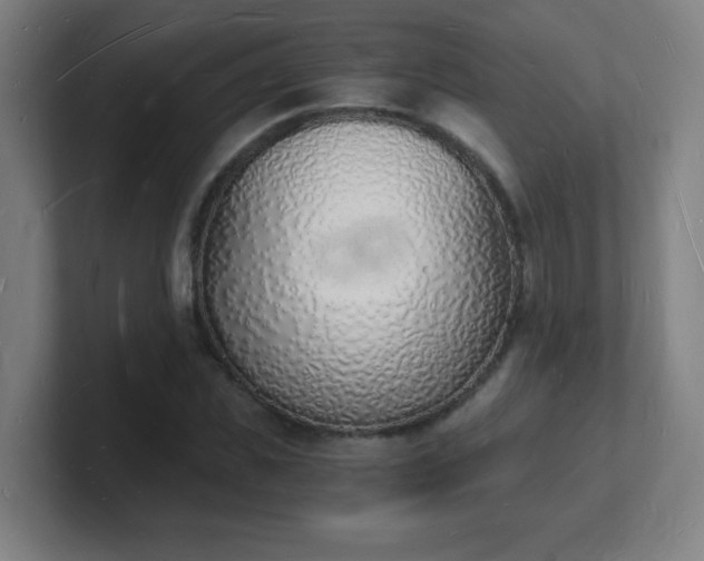 X0000101670925200807171333