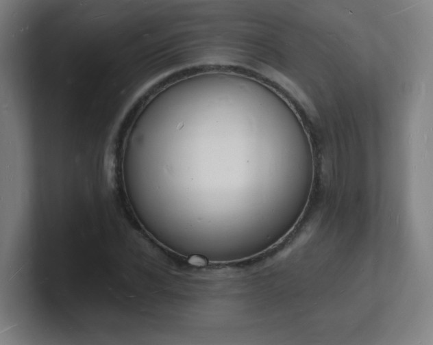 X0000101670926200807171333