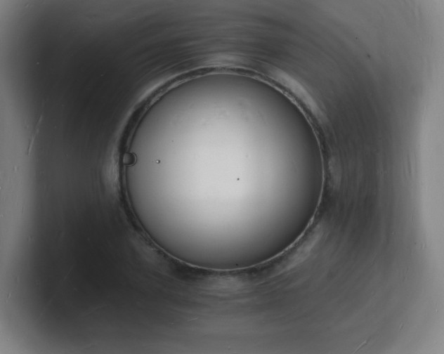 X0000101670931200807171333
