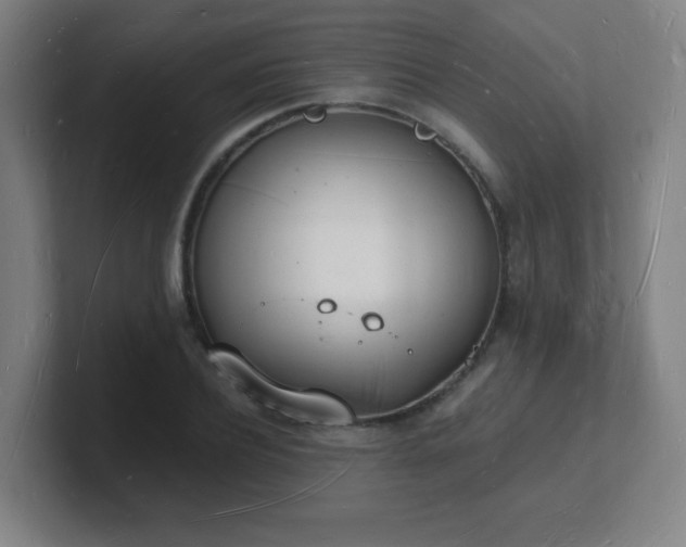 X0000101670932200807171333