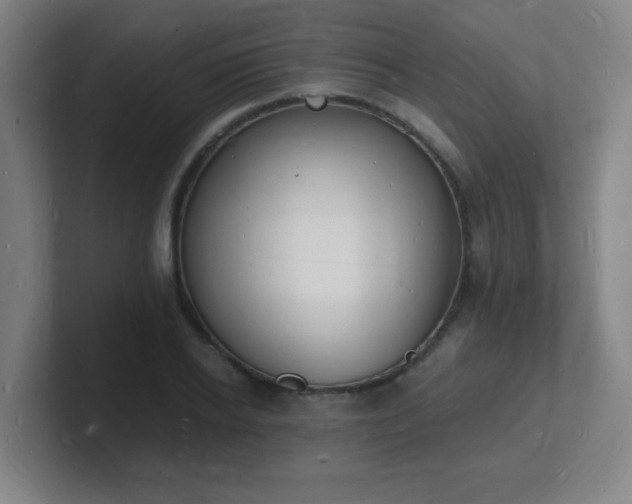 X0000101670934200807171333