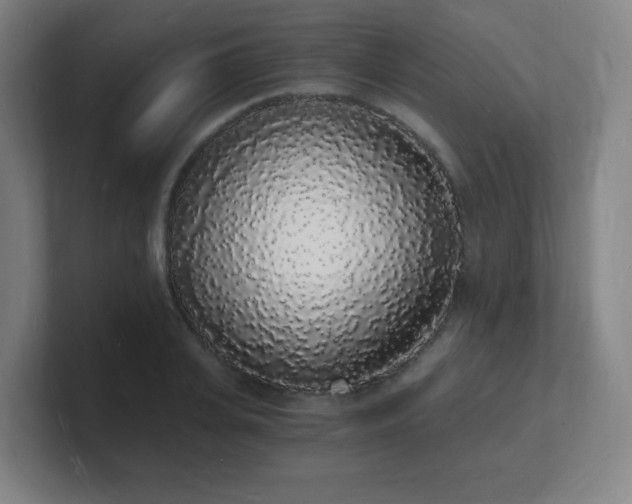 X0000101670935200807171333