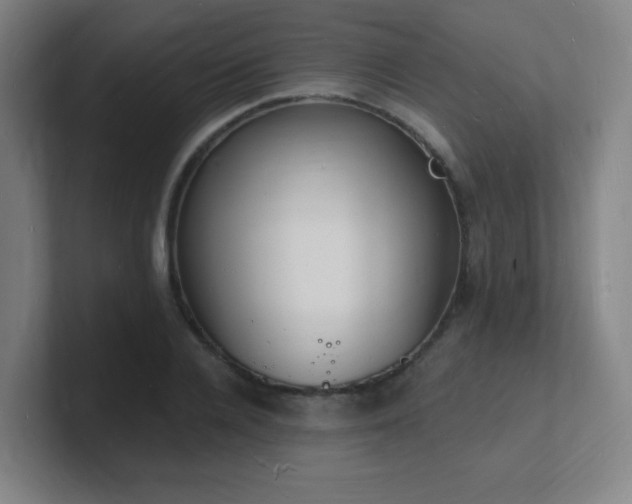 X0000101670936200807171333
