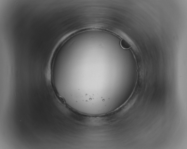 X0000101670940200807171333
