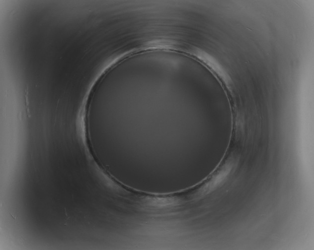 X0000101670941200807171333