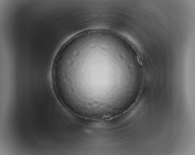 X0000101670943200807171333