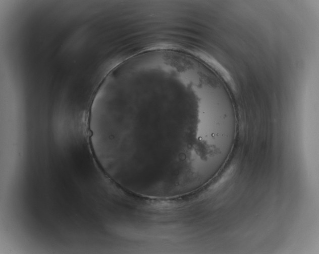 X0000101670945200807171333