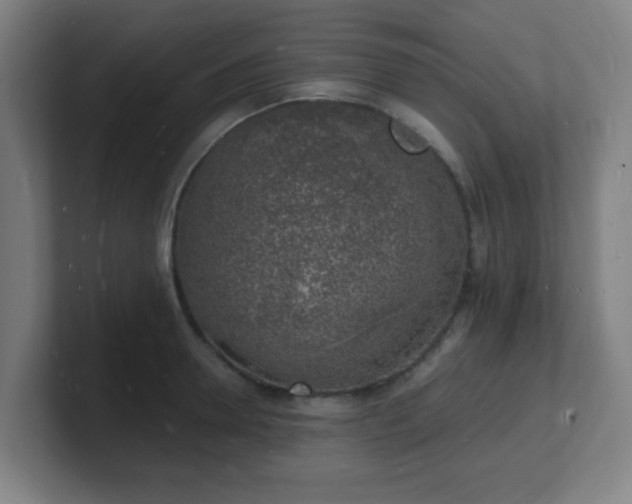 X0000101670946200807171333