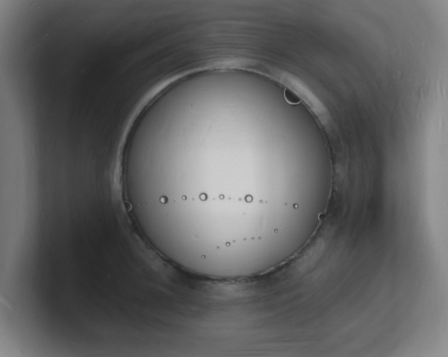 X0000101670948200807171333