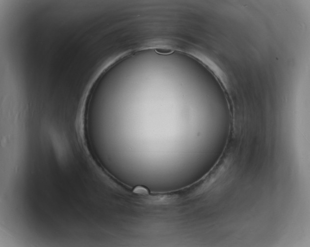 X0000101670949200807171333