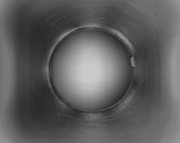 X0000101670951200807171333