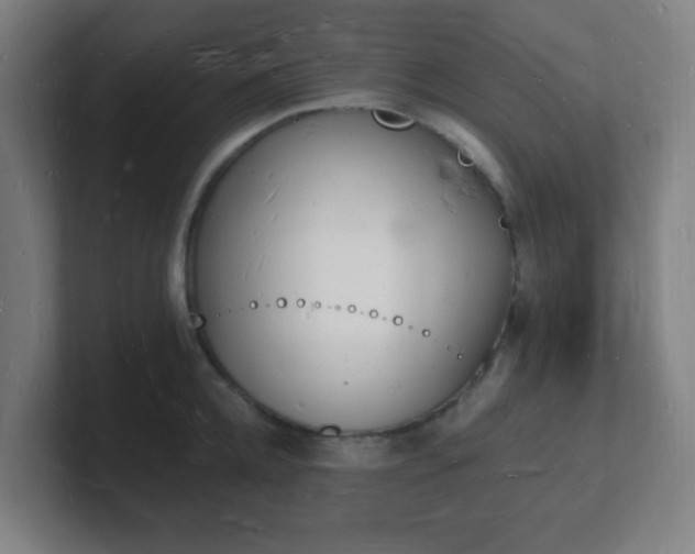 X0000101670952200807171333