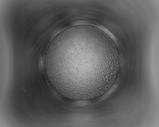 X0000101670953200807171333