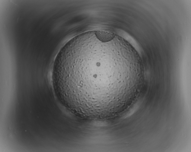 X0000101670954200807171333