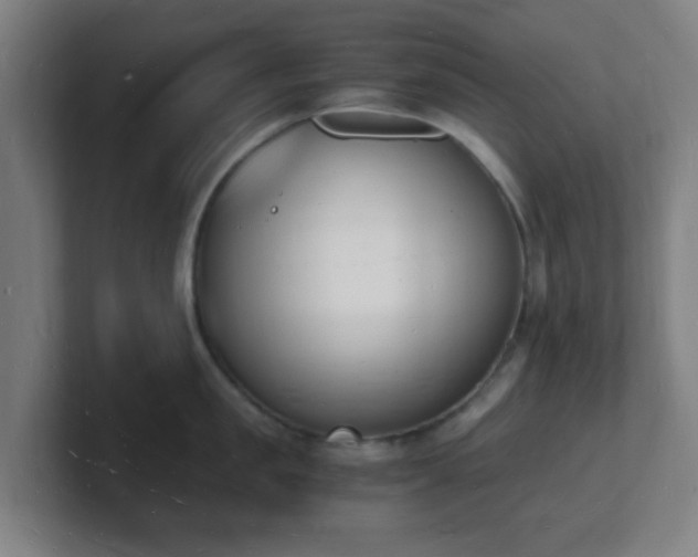 X0000101670957200807171333