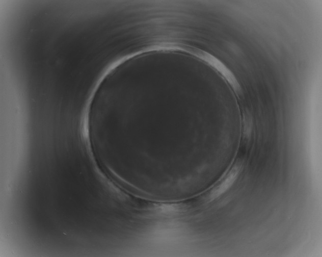 X0000101670958200807171333