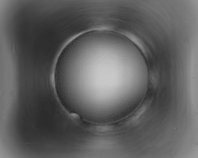 X0000101670959200807171333