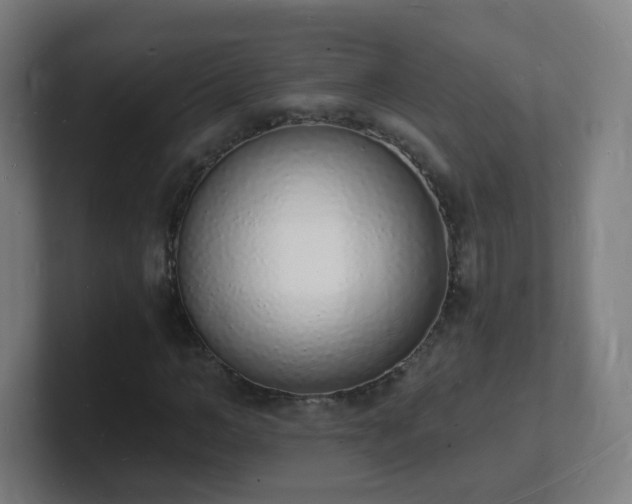 X0000101670966200807171332