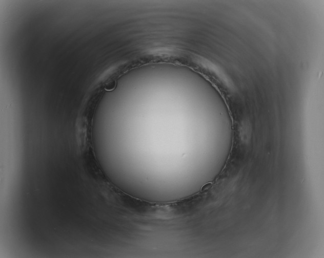 X0000101670968200807171332