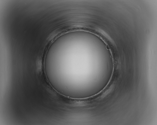 X0000101670969200807171332