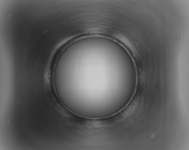 X0000101670971200807171332