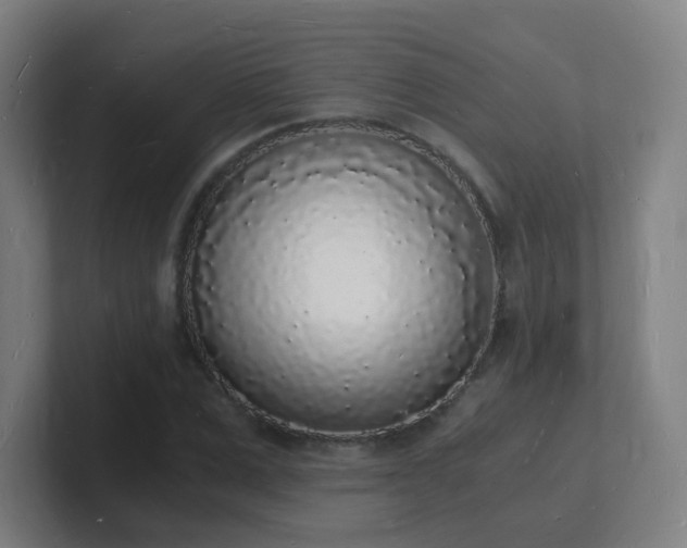 X0000101670975200807171332