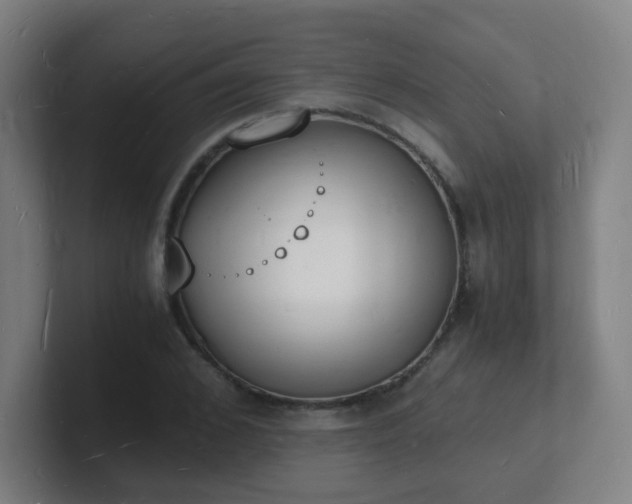 X0000101670976200807171332
