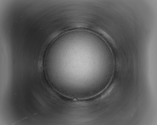 X0000101670977200807171332