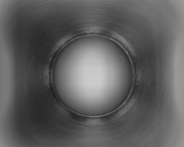 X0000101670978200807171332