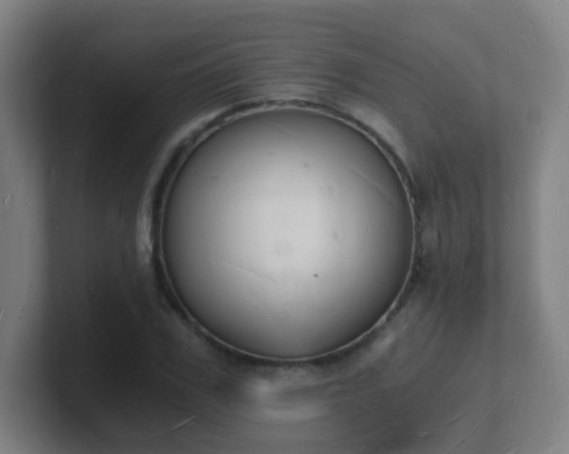 X0000101670979200807171332