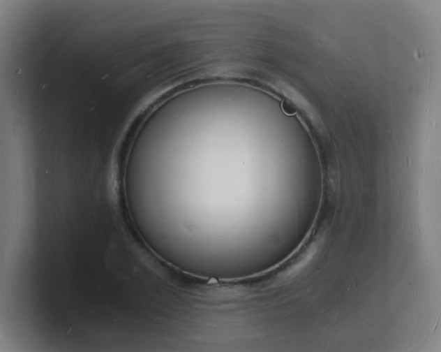X0000101670981200807171332
