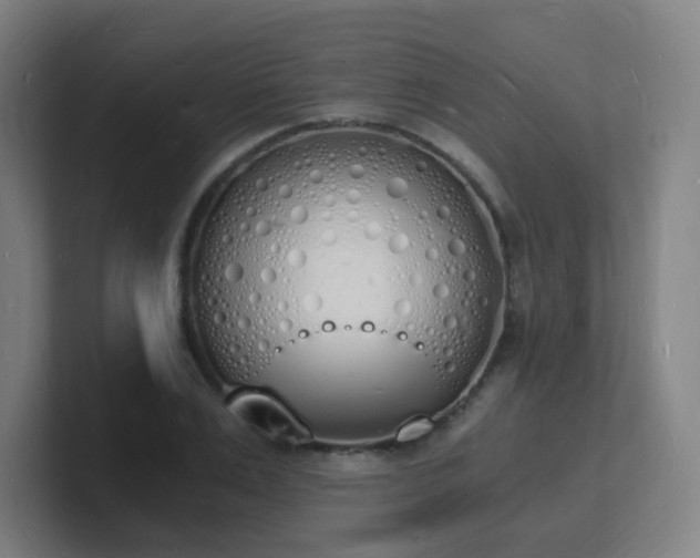 X0000101670983200807171332