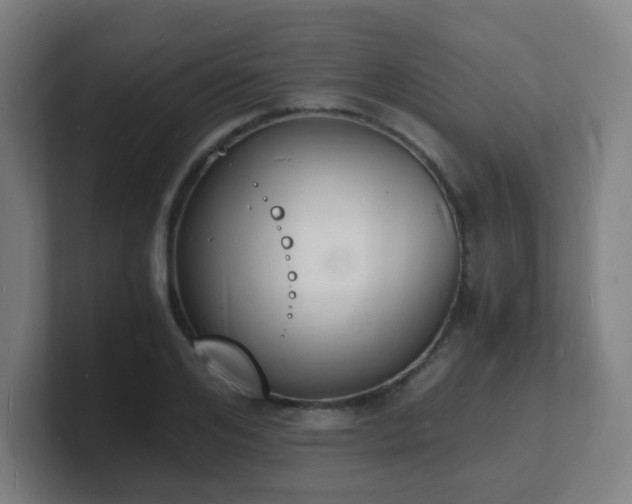 X0000101670984200807171332