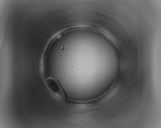 X0000101670988200807171332