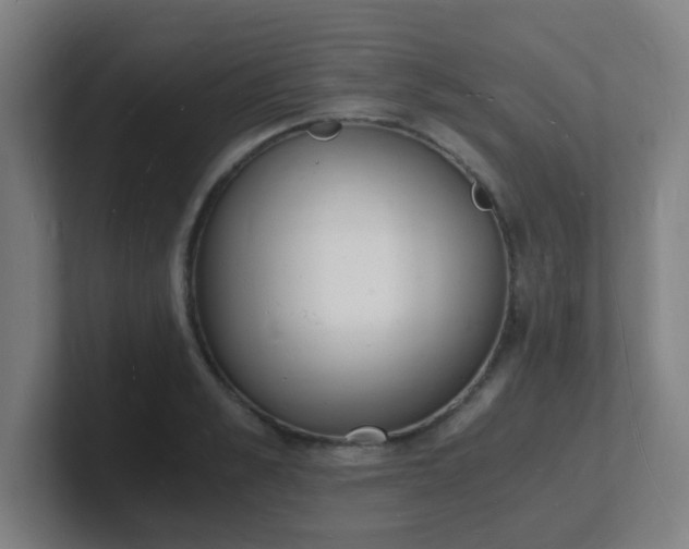 X0000101670989200807171332