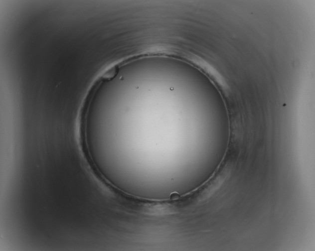 X0000101670991200807171332