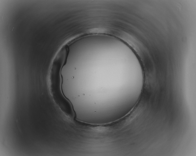 X0000101670992200807171332