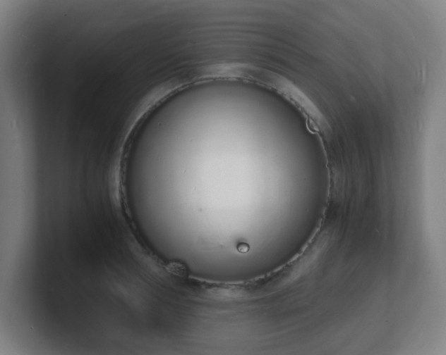 X0000101670994200807171332