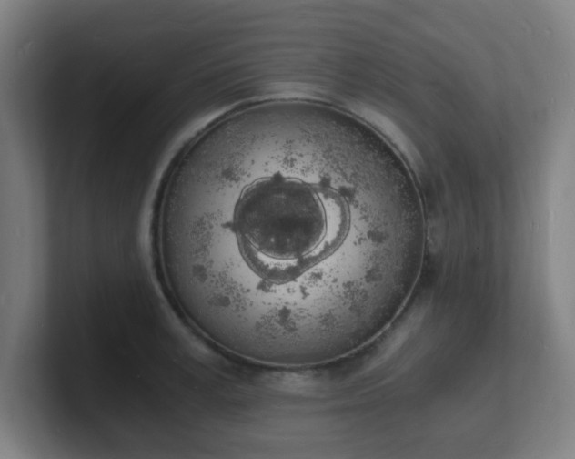 X0000101670995200807171332