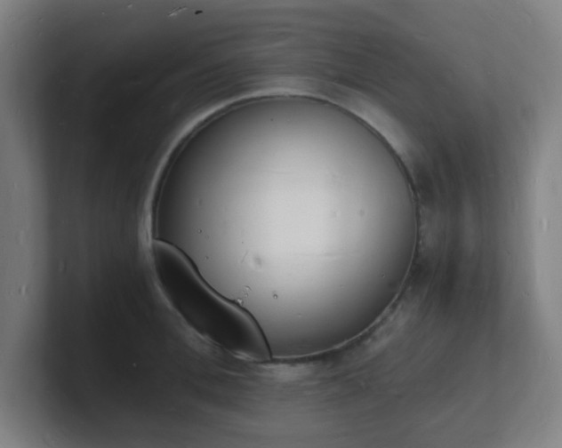 X0000101670996200807171332