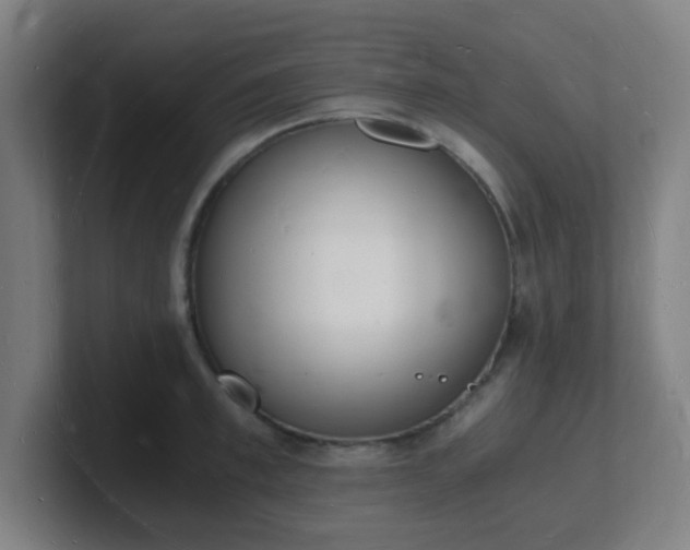 X0000101670997200807171332