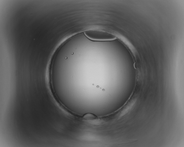 X0000101670999200807171332
