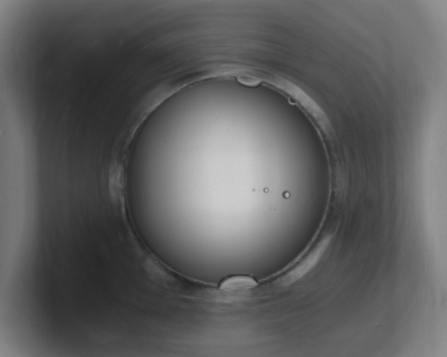 X0000101671001200807171332