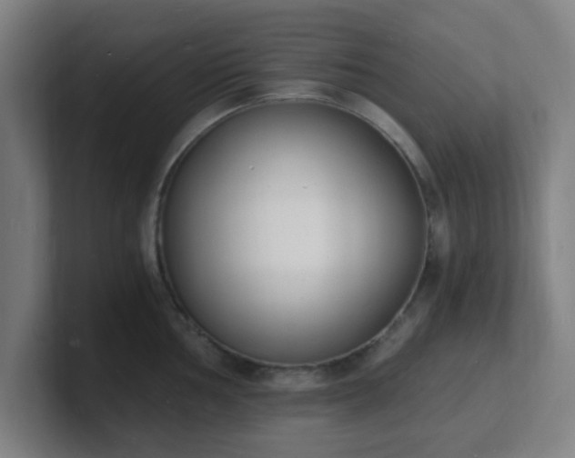 X0000101671002200807171332