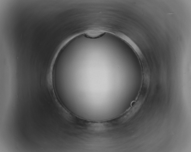 X0000101671004200807171332