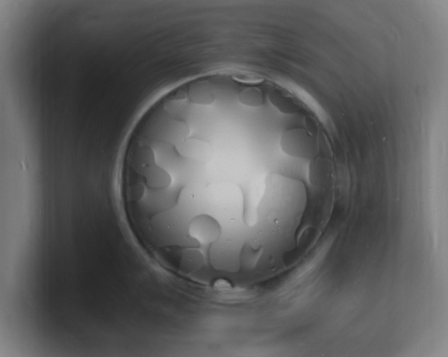 X0000101671007200807171332