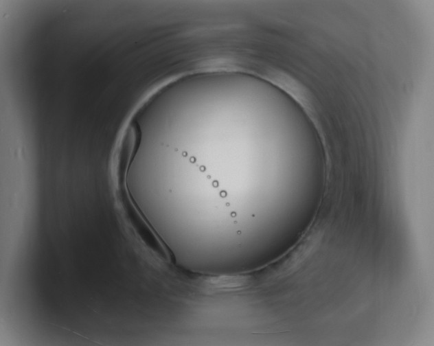 X0000101671008200807171332