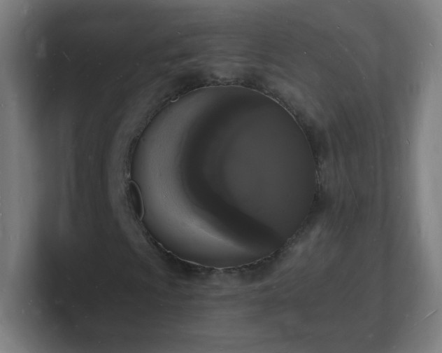 X0000101671009200807171331